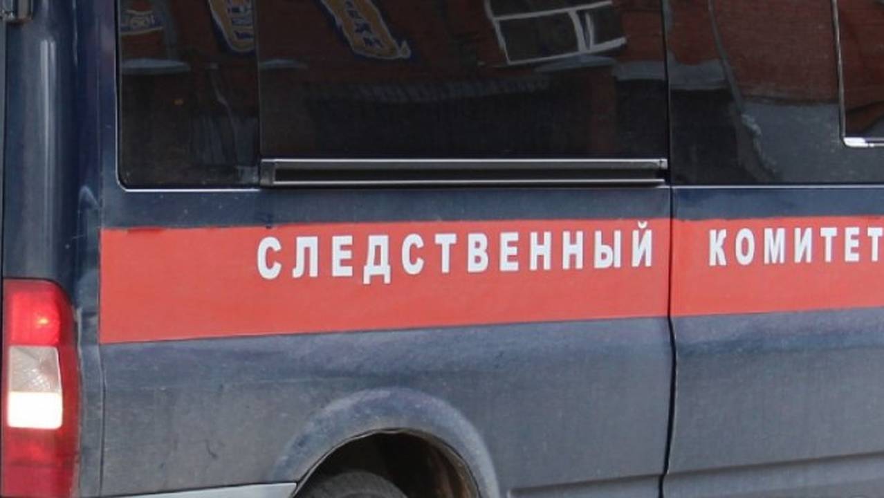 Главная картинка новости: В Коми задержали мужчину за разбойное нападение на несовершеннолетнюю