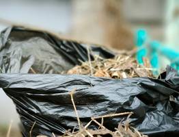 Гольдштейн лично примет участие в общереспубликанском субботнике 26 апреля