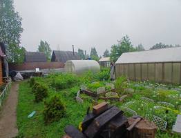 С 2 мая на теплицы вводится запрет: приняли решение для всех россиян, у кого есть дача или участок - новые жестокие штрафы