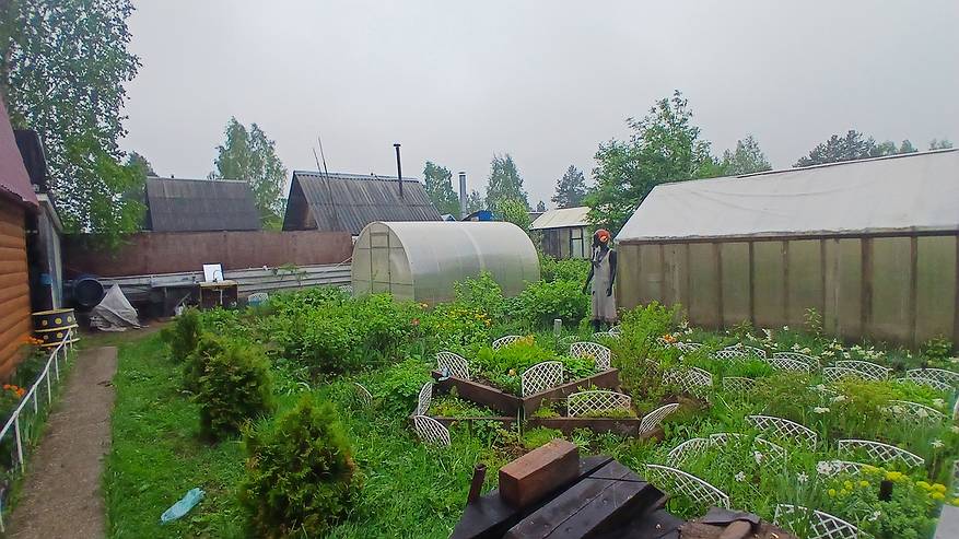 Главная картинка новости: С 2 мая на теплицы вводится запрет: приняли решение для всех россиян, у кого есть дача или участок - новые жестокие штрафы