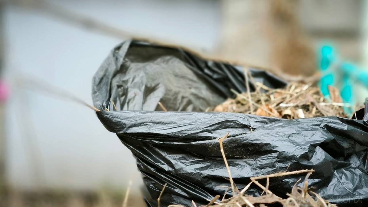 Главная картинка новости: Гольдштейн лично примет участие в общереспубликанском субботнике 26 апреля