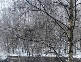 24 апреля в Коми принесет дожди со снегом и ощутимый температурный контраст