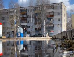 Закон обязал сыктывкарцев избавиться от клопов и тараканов