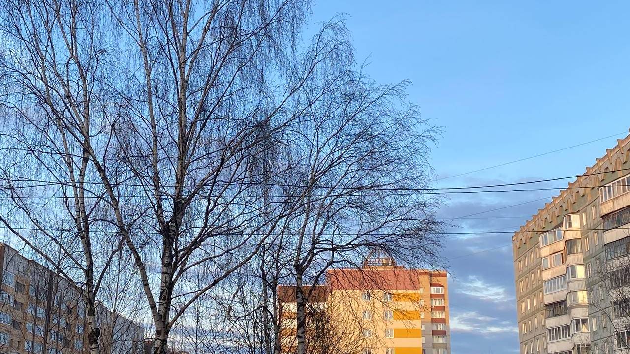 25 апреля погода в Коми демонстрирует северный характер с контрастами температур