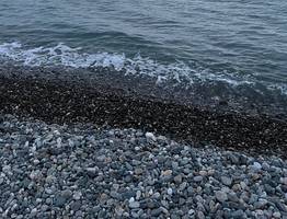 Жители Коми смогут отдохнуть на Чёрном море с учётом новых рекомендаций