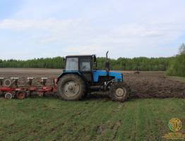 Аграрии Коми активно запасаются семенами для нового сезона