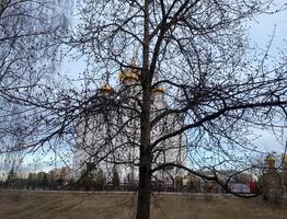 Погода в Коми 28 апреля радует не все районы: метель на севере, но робкое солнце на юге