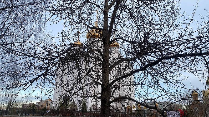 Главная картинка новости: Погода в Коми 28 апреля радует не все районы: метель на севере, но робкое солнце на юге