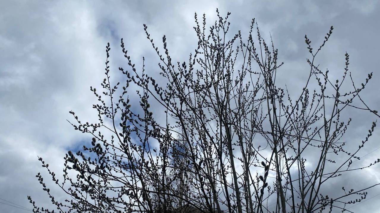 Апрель в Коми завершается типичной для сезона переменчивой погодой: и солнце, и дождь, и снег