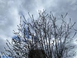 Апрель в Коми завершается типичной для сезона переменчивой погодой: и солнце, и дождь, и снег