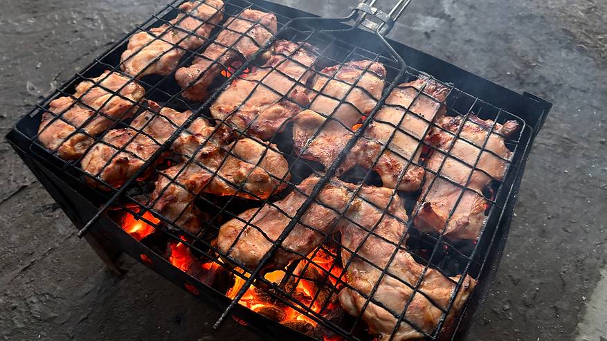 Главная картинка новости: Жителям столицы Коми не удастся полакомиться шашлыком на природе до 11 мая