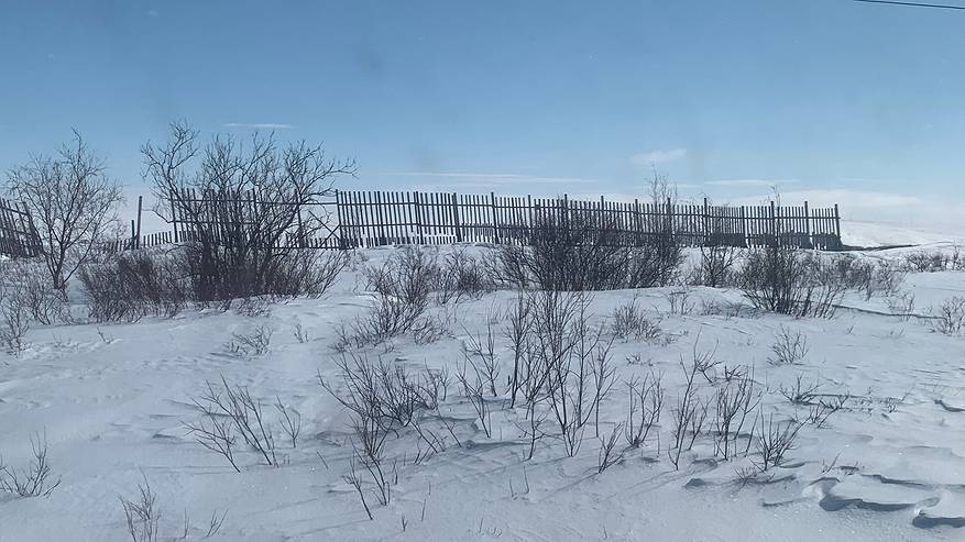 Главная картинка новости: "Май подложит нам всем свинью": синоптики прогнозируют сильнейшее похолодание этой весной