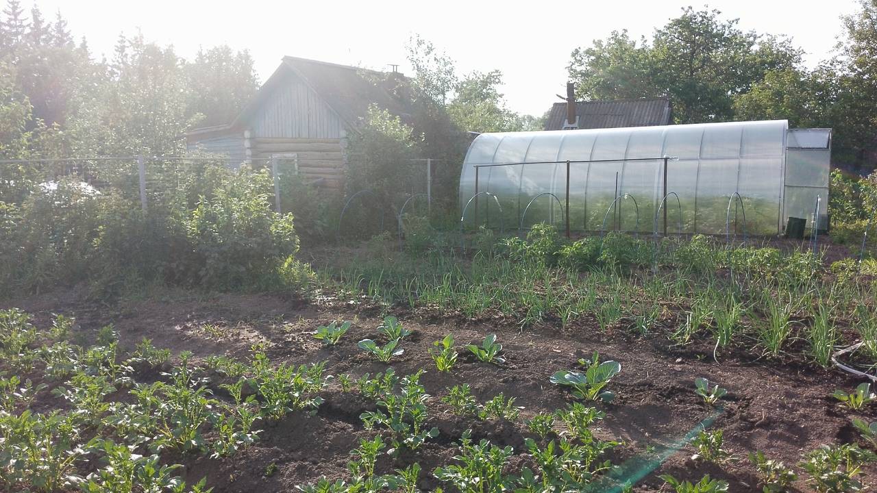 Сажаем картошку в мае только в эти дни — обязательно: собираем с сотки по несколько десятков мешков — благоприятные даты