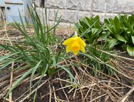 5 мая в Коми принесет дожди и прохладный ветер, но на юг уже тепло