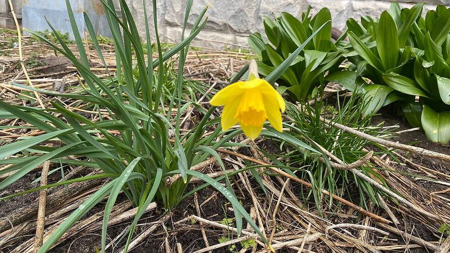 Главная картинка новости: 5 мая в Коми принесет дожди и прохладный ветер, но на юг уже тепло