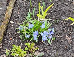 7 мая северные районы республики встретят мокрым снегом и туманом, а южные — первым теплом