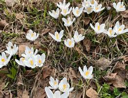 9 мая Коми во власти двух сезонов: зима и снег на северо-востоке, настоящая весна и тепло на юге