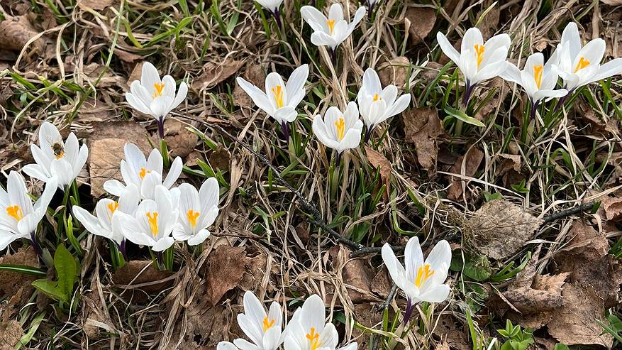 Главная картинка новости: 9 мая Коми во власти двух сезонов: зима и снег на северо-востоке, настоящая весна и тепло на юге