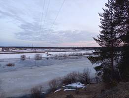 "Коми дорожная компания" нарушила экологическое законодательство при уборке моста