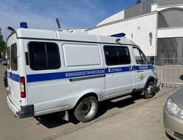 В Сыктывкаре "граната" у городского кладбища вызвала переполох