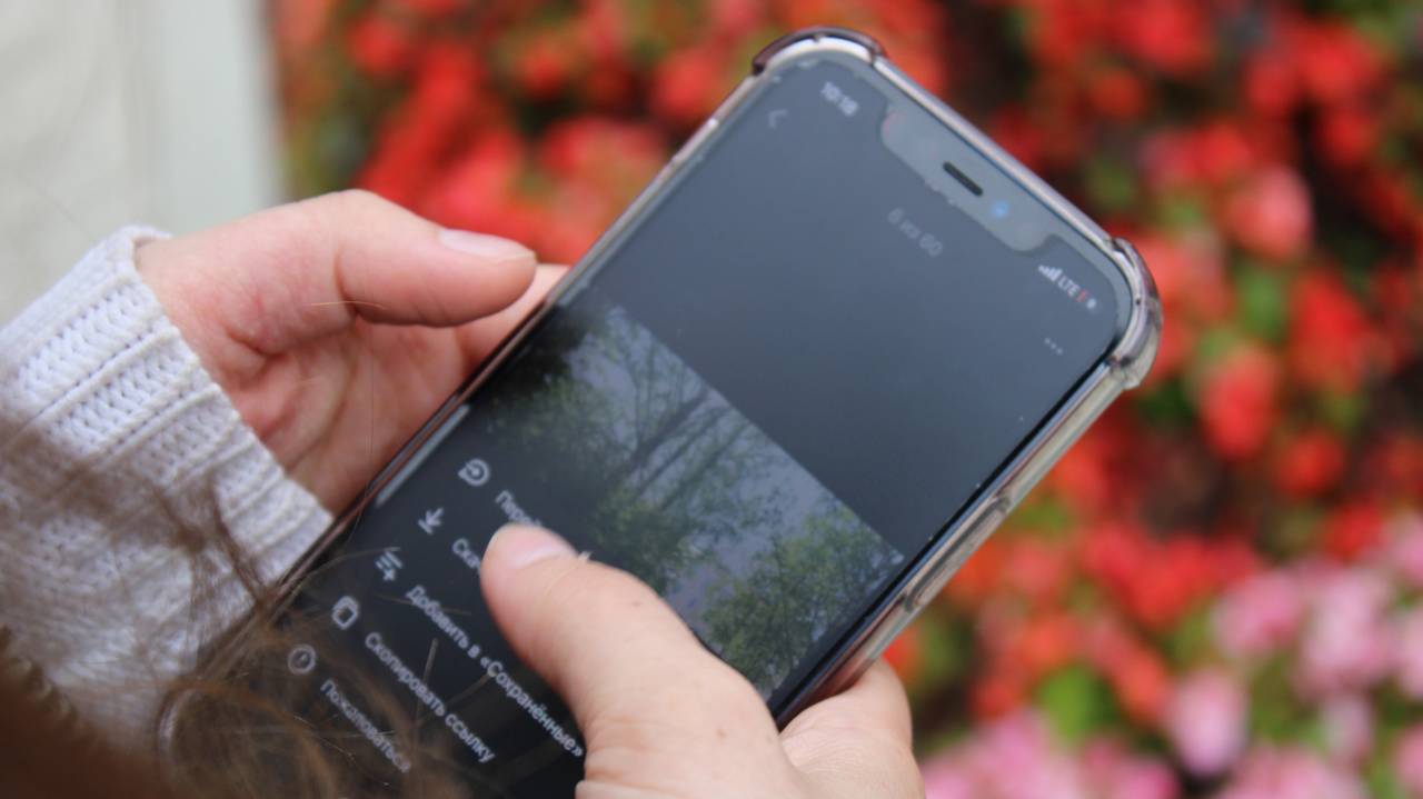 Сквернослов в Коми заплатит 3 тысячи рублей за нецензурные сообщения