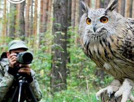 Коми приглашает поучаствовать в конкурсе и запечатлеть дикую природу в объективе