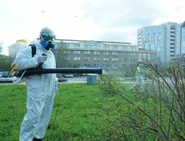 В Сыктывкаре приступили к масштабной борьбе с клещами