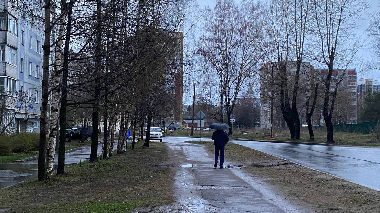 Жителей Коми 16 мая в большинстве районов ждут серое небо и дождь