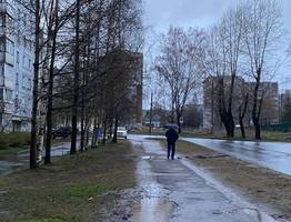 Жителей Коми 16 мая в большинстве районов ждут серое небо и дождь