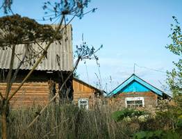 Сажаем картошку в мае только в эти дни — обязательно: собираем с одной сотки по несколько десятков мешков