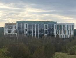 19 мая в Коми преподносит сюрпризы: на северо-востоке - снег, на юго-западе — весенний дождь