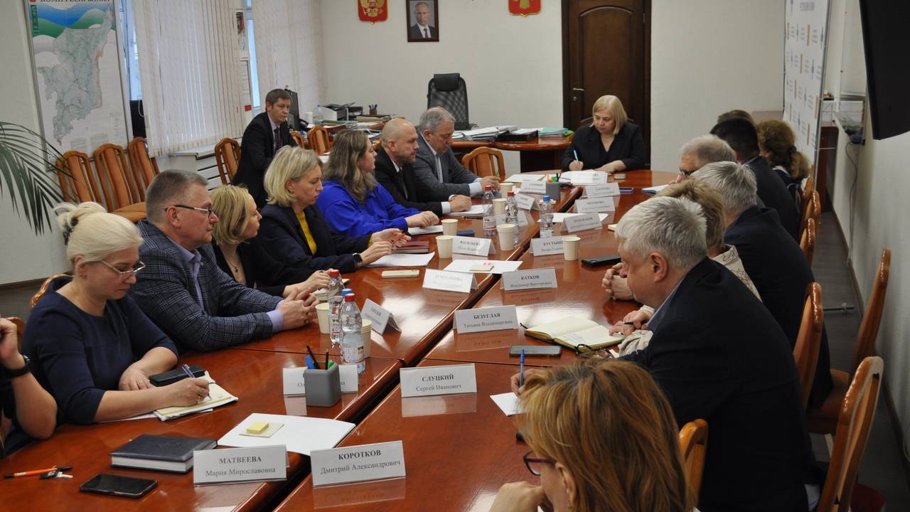 Главная картинка новости: Федеральные эксперты помогают улучшить детскую медицину в Коми