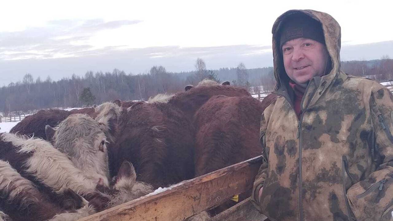 Главная картинка новости: Фермеры в Коми претендуют на гранты для развития мясного скотоводства и ягодоводства