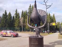 В Коми 20 мая радует: днём без осадков, солнце и "плюс" во всех районах