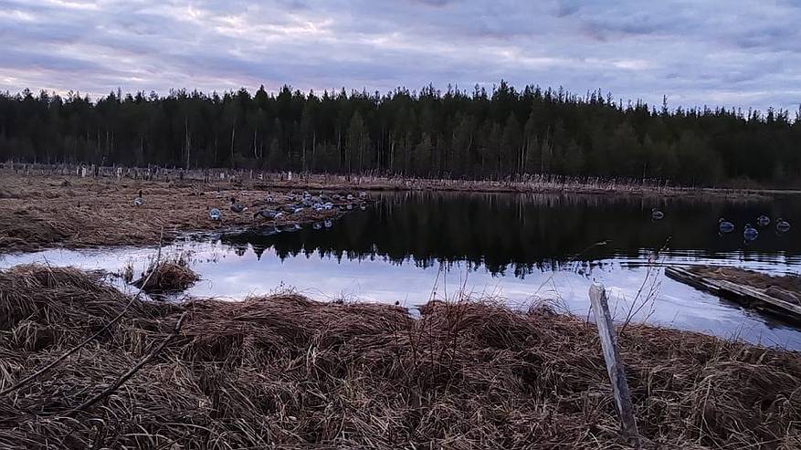 Главная картинка новости: Браконьеры попались в Коми — изъяты сети и оружие