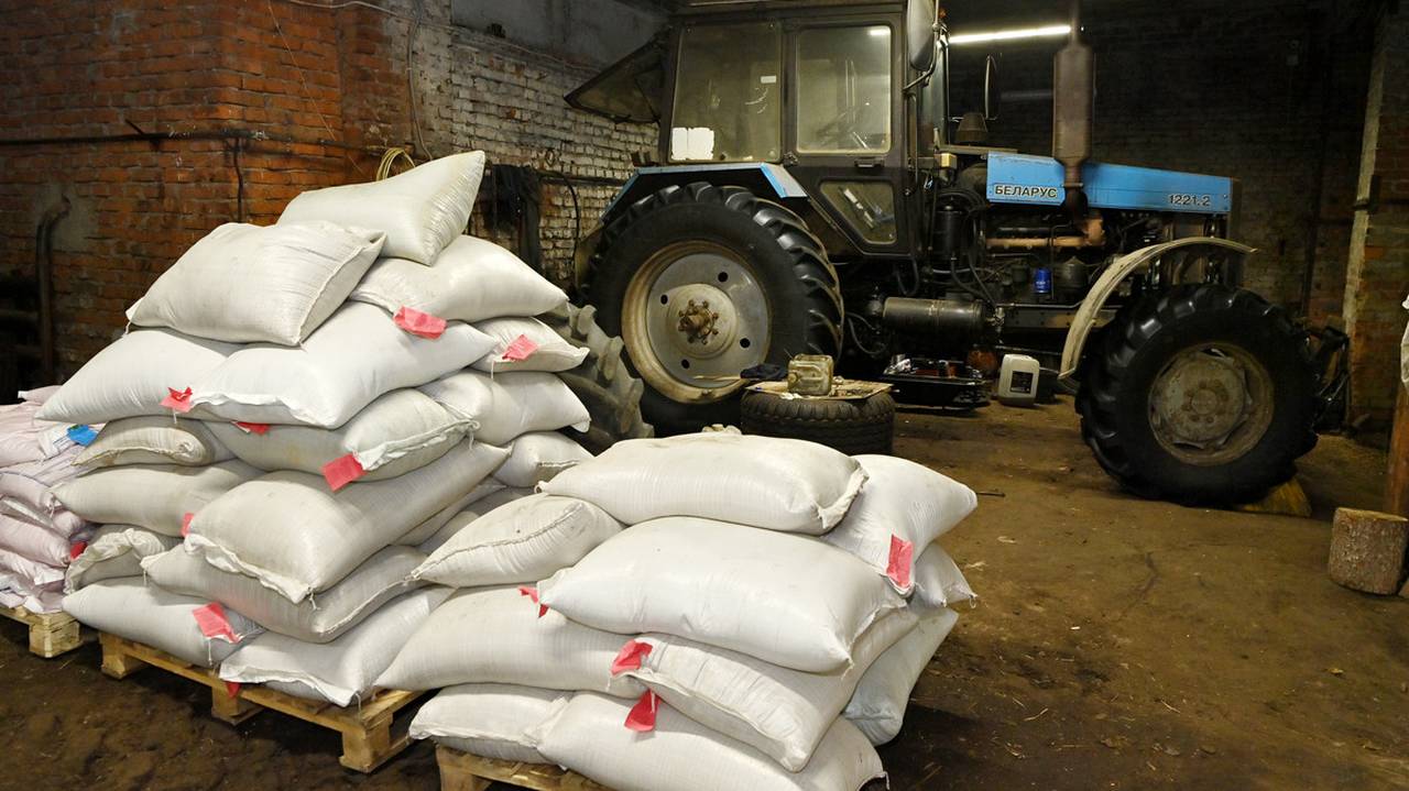 Главная картинка новости: "Нёбдинский" может стать ключевым поставщиком комбикормов для аграриев Коми