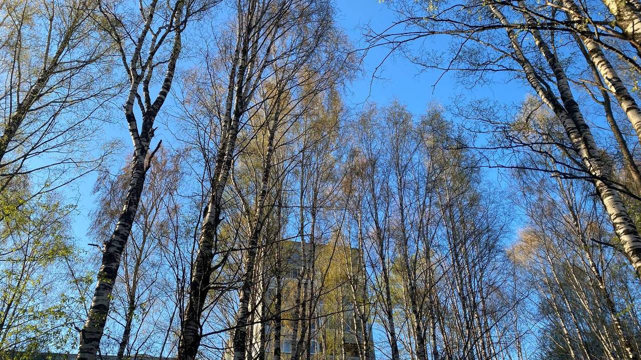 В Коми 23 мая удивляет контрастами: одни мерзнут при -4 °C, другие греются при +18 °C