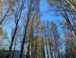 В Коми 23 мая удивляет контрастами: одни мерзнут при -4 °C, другие греются при +18 °C