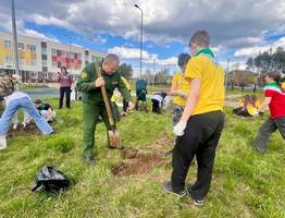 В Коми создали “Аллею памяти” героям Великой Отечественной войны