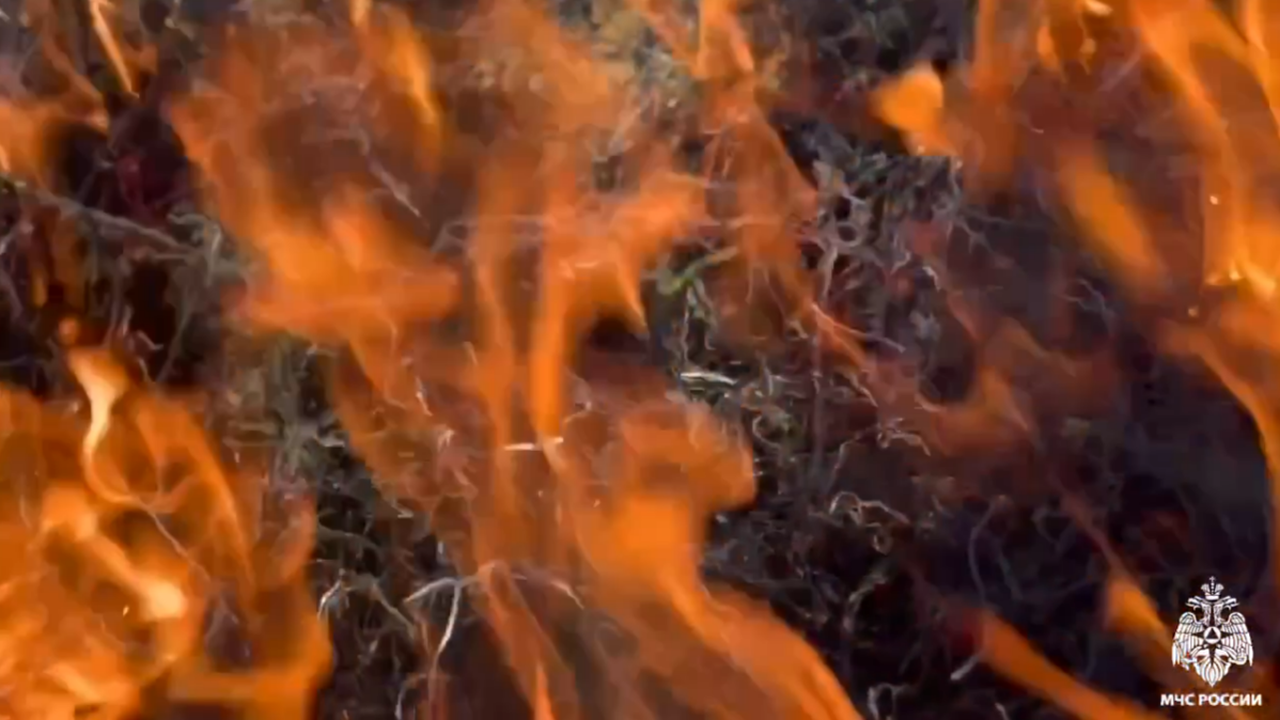 Главная картинка новости: В южных районах Коми объявлена чрезвычайная пожароопасность