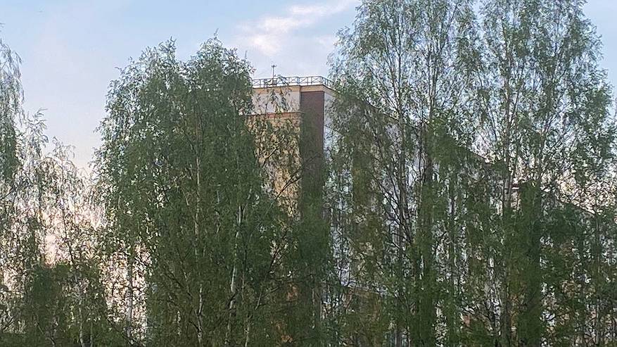 Главная картинка новости: 28 мая принесет в Коми "плюс" на всю территорию: от +4 до +30°C