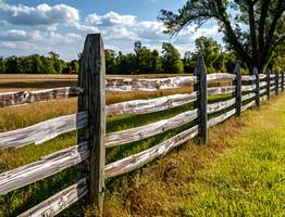Дачники будут просто кипеть от ярости: в каких случаях с приходом лета на дачных участках начнут сносить заборы