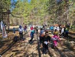 Сыктывкарцы вошли в число лучших на чемпионате Коми по ориентированию