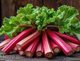 Овощ, который умерщвляет почки: в Европе его не едят, а в России все обожают