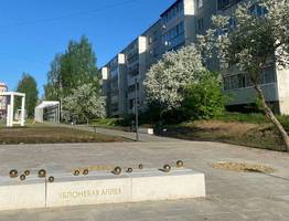 В Сыктывкаре на радость жителям преображается Яблоневая аллея