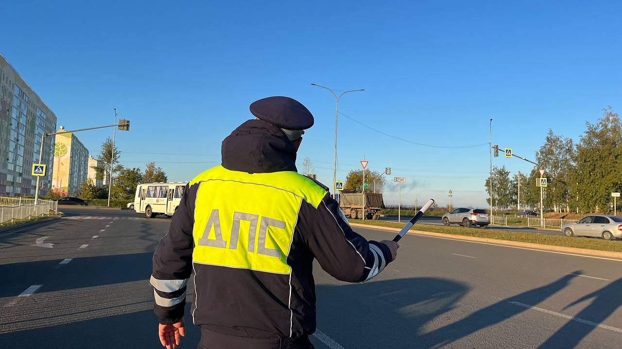 Главная картинка новости: ГАИ будет нещадно штрафовать на 800 рублей, если не найдут этого документа в бардачке: новые правила уже с 1 июня
