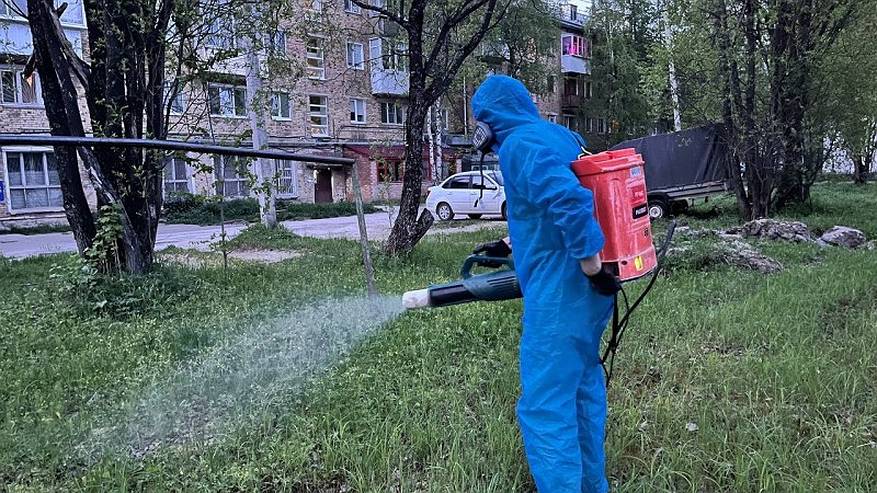Главная картинка новости: В столице Коми обработали 67 тысяч квадратных метров от клещей