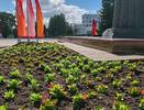 Сыктывкар расцветает: 85 клумб украсят город к летнему сезону