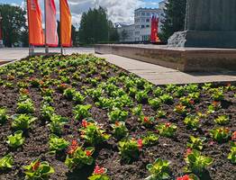 Сыктывкар расцветает: 85 клумб украсят город к летнему сезону