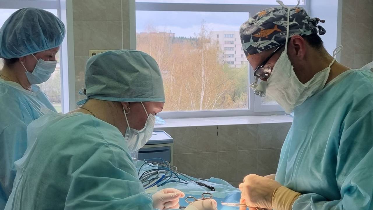 Главная картинка новости: Сыктывкарские врачи спасли жизнь полукилограммовому новорожденному